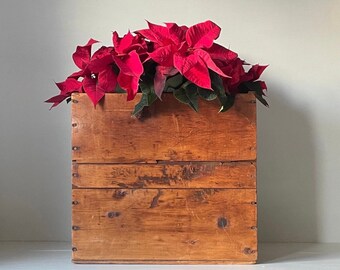 Antique Box Crate Vintage Wood Bin