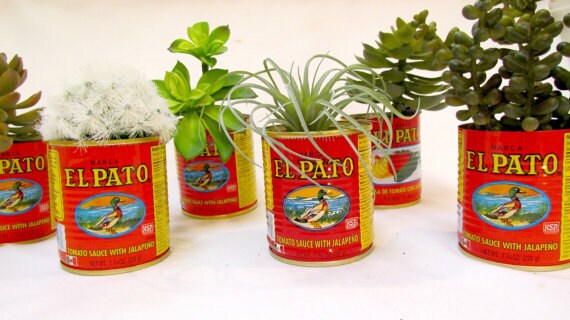 Fiesta Decorations For Wedding El Pato Mexican Tin Cans Set Of 6
