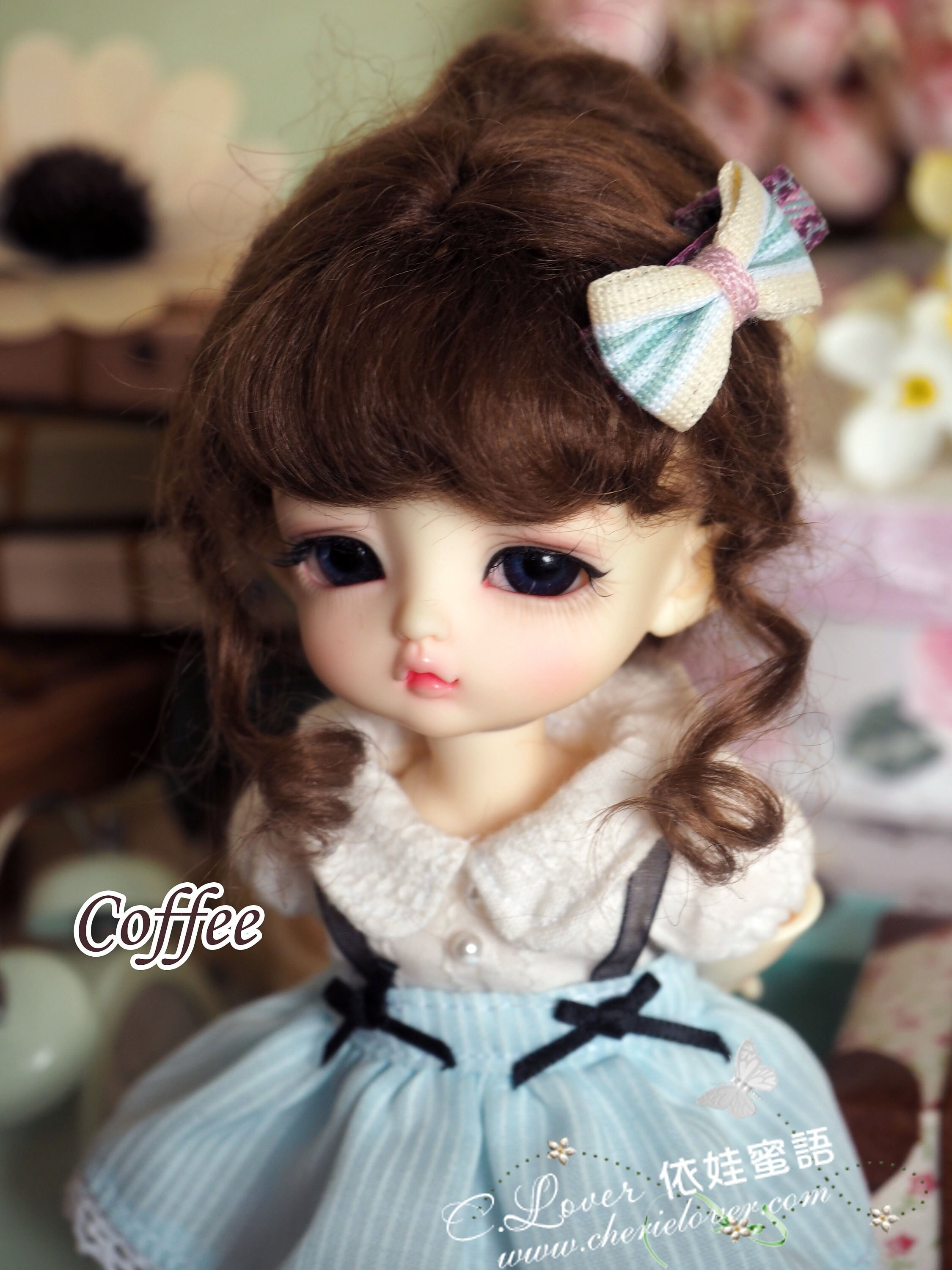 fl bjd