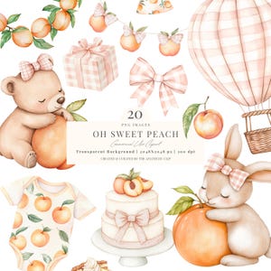 Clipart de Baby Shower de Melocotón / PNG Transparente / Clipart de Melocotón / Melocotón Dulce / Melocotones / Primer Cumpleaños PNG / Bebé de Cuadros / 20 PNG
