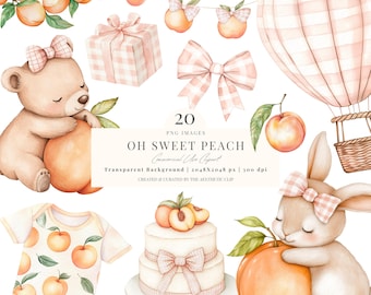 Peach Baby Shower Clipart | Transparent PNG | Peach Clipart | Sweet Peach | Peaches | First Birthday PNG | Gingham Baby | 20 PNG