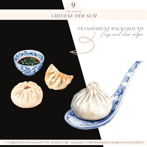 Dim Sum Clipart | Dumplings PNG | Watercolor Chinese Food | Chinese New Year Food | Spring Rolls | Bao Buns | Wonton | Soy Sauce | 9 PNG image 3