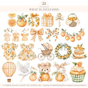 Little Cutie Baby Shower | Oranges PNG | Citrus Clipart | Orange Baby Shower Png | Summer Baby Shower | Tangerine | 21 PNG image 2