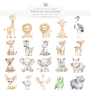 Safari Clipart | Afrikanischer Dschungel Aquarell | Wild Baby Shower | Kinder Clipart | 59 PNG Bild 3
