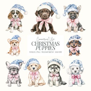 Clipart chien de Noël | Chiots de Noël PNG | Chiot portant un bonnet de Noel PNG | Chiens festifs des cliparts | Caniche | Corgi | Husky | Teckel | 9 PNG