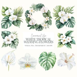 Aquarell tropische Hochzeitsblumen | Tropische weiße Blumen Clipart | Hochzeit Blumenarrangement PNG | Tropische Blätter | Orchidee | 9 PNG