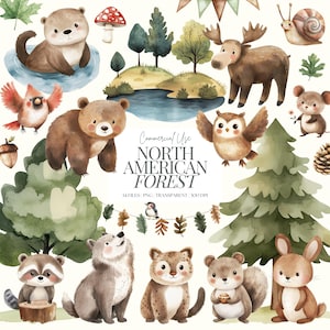 Clipart Boho Woodland / Clipart animali della foresta ad acquerello / Animali nordamericani / Baby shower nel bosco PNG / Asilo nido nella foresta / 34 PNG