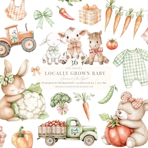Locally Grown Baby Shower PNG | Vegetables PNG | Coquette Farmer's Market | Local Produce Clipart | Cow With Bow | 36 PNG