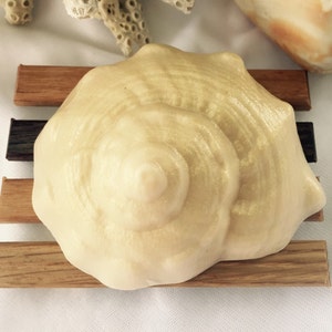 May include: A golden seashell soap bar on a wooden soap dish. The soap is shaped like a seashell and has a swirl pattern.