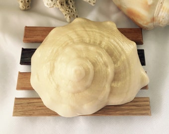 Conch Shell Soap - Seashell Soap - Beach Soap - Shell Soap