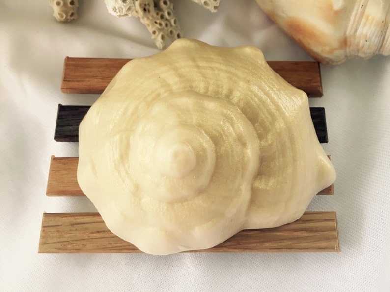 Conch Shell Soap Seashell Soap Beach Soap Shell Soap image 1