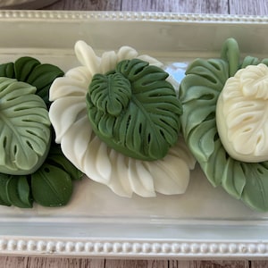 May include: Four green and white soap bars shaped like tropical leaves on a white tray. The soaps are arranged in a row and have a raised design.