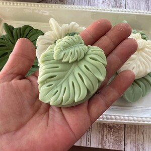 May include: A hand holding a green leaf-shaped soap bar. The soap is in the shape of a monstera leaf. There are other leaf-shaped soaps in the background.