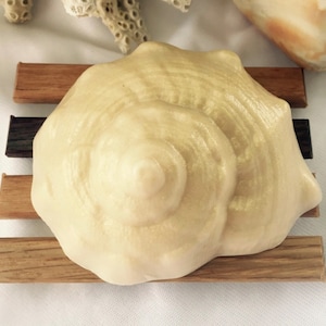 May include: A white seashell soap with a pearlescent finish, resting on a wooden soap dish.