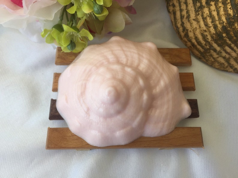 Conch Shell Soap Seashell Soap Beach Soap Shell Soap image 4