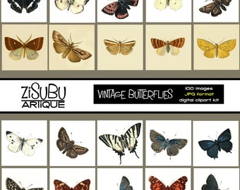 Vintage Butterflies and Moths Clipart  -BIG SET - Woodland creatures - Wings - Insects - Butterfly Bugs images