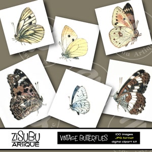 Vintage Butterflies and Moths Clipart BIG SET Woodland creatures Wings Insects Butterfly Bugs images image 2