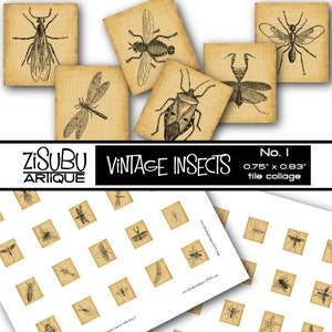 Könnte beinhalten: Eine Sammlung von Vintage-Insektenillustrationen auf kleinen, quadratischen, gealterten Papierelementen. Die Elemente zeigen detaillierte Schwarz-Weiß-Zeichnungen verschiedener Insekten, darunter eine Libelle und eine Gottesanbeterin. Der Text lautet "Vintage Insects" und "1,9 cm x 2,1 cm Kachelcollage."