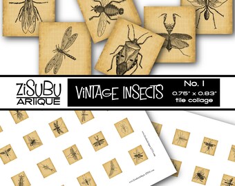 Printable Vintage Insects Bugs Scrabble Tile Collage Sheet - sepia 0.75"x0.83" tile images - scrabble pendant, jewelry making, paper crafts