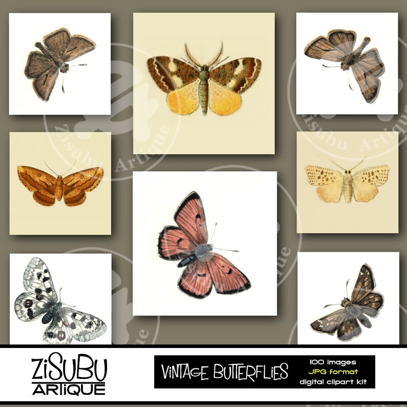 Vintage Butterflies and Moths Clipart BIG SET Woodland creatures Wings Insects Butterfly Bugs images image 4