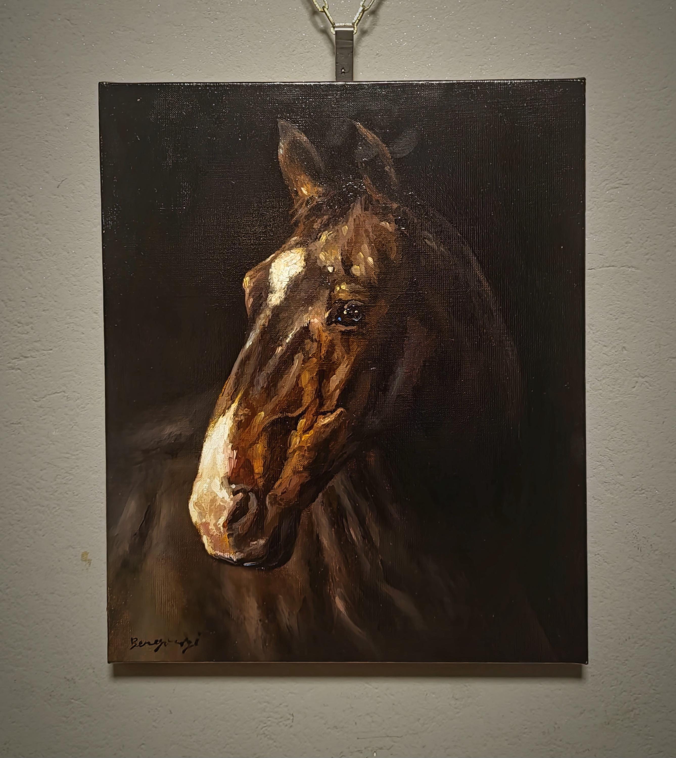 Vintage Italian Horse Portrait Oil Painting, Signed Equestrian