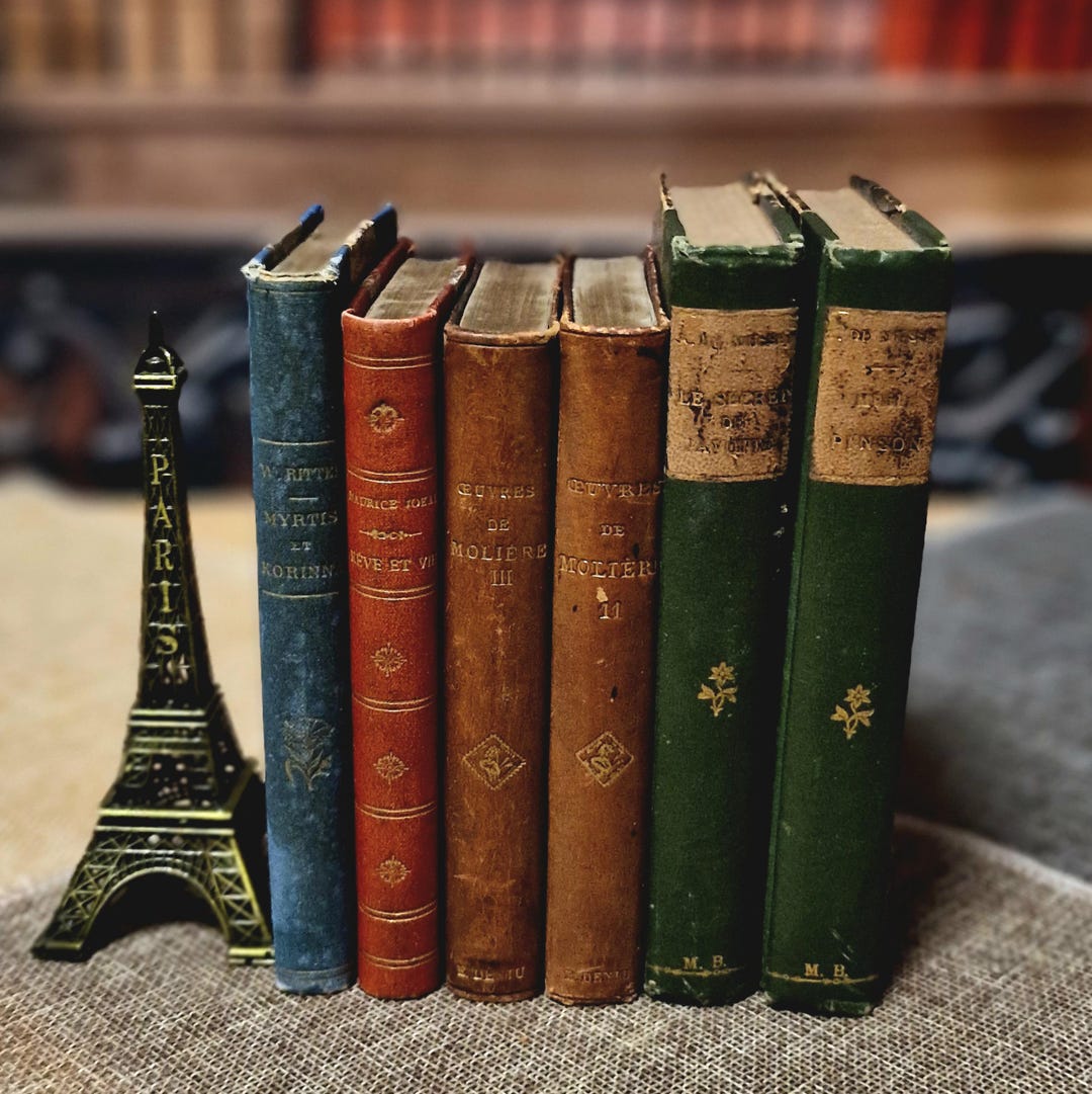 Antique French Leather Bound Books, 19th–early 20th Century, Dark