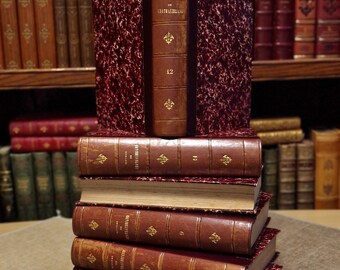 1860年製アンティークフランス製革装丁本セット、全12巻、挿絵入り、19