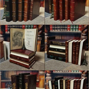 Antique French Leather Bound Books, 17th–20th Century, Dark Academia Bookshelf Decor, Vintage Library Collection for Interior Design image 6