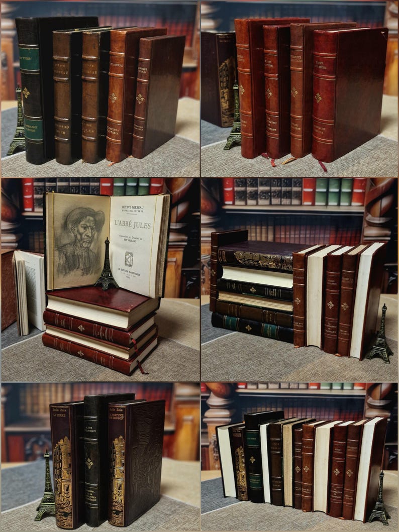 Antique French Leather Bound Books, 17th–20th Century, Dark Academia Bookshelf Decor, Vintage Library Collection for Interior Design image 6