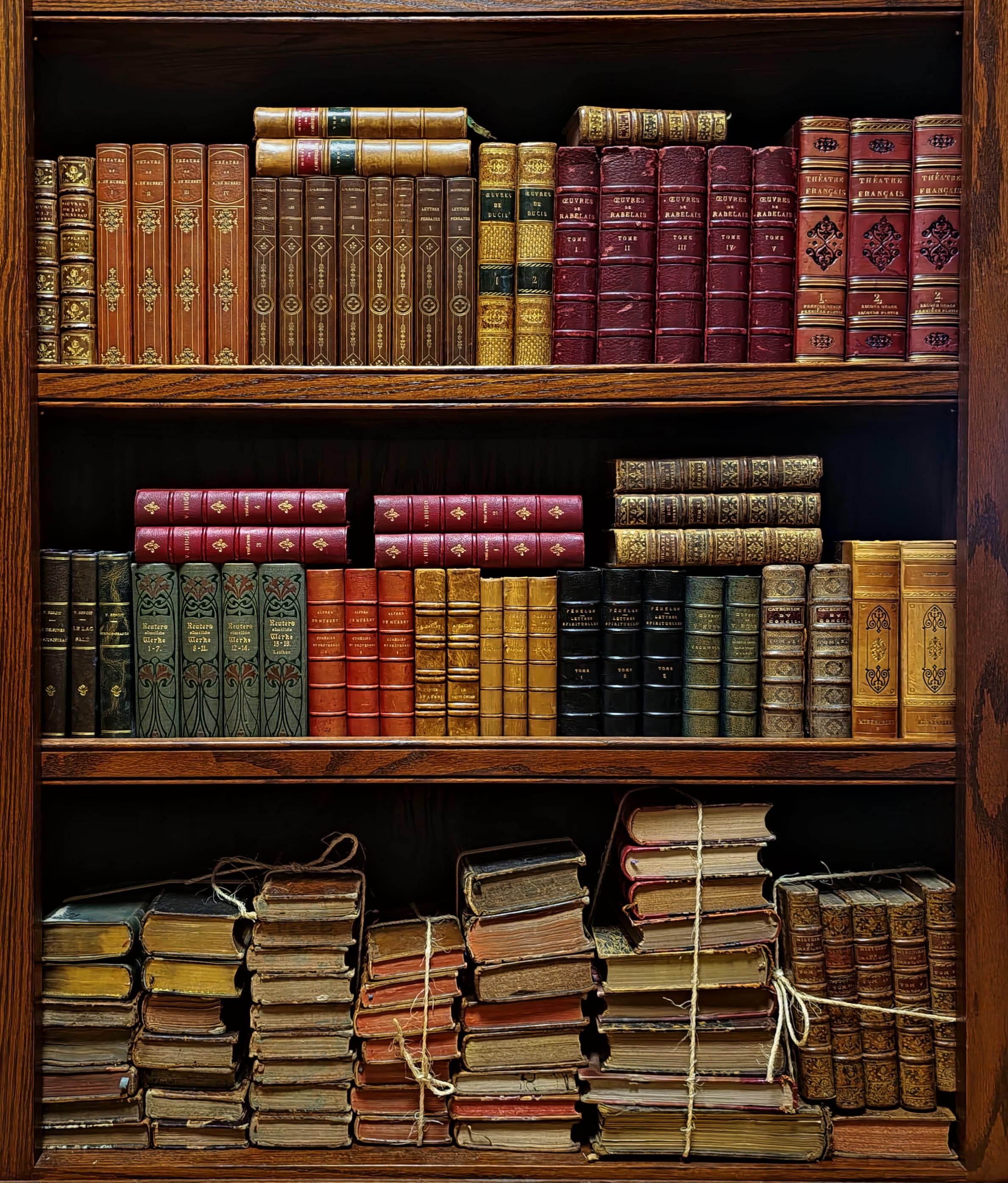 フランス　アンティーク家具　本棚 アンティークフランス製革装丁本、17～20世紀、ダークアカデミアの本棚