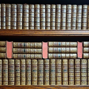 May include: A wooden bookshelf filled with antique books. The books have aged, textured covers with gold lettering and designs. A few books have a contrasting red spine, adding a pop of color to the display.