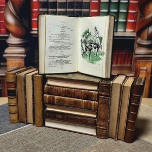Antique French Leather Bound Books, 17th–20th Century, Dark Academia Bookshelf Decor, Vintage Library Collection for Interior Design image 9