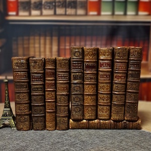 Antique French Leather Books Set of 10, 18th Century Library