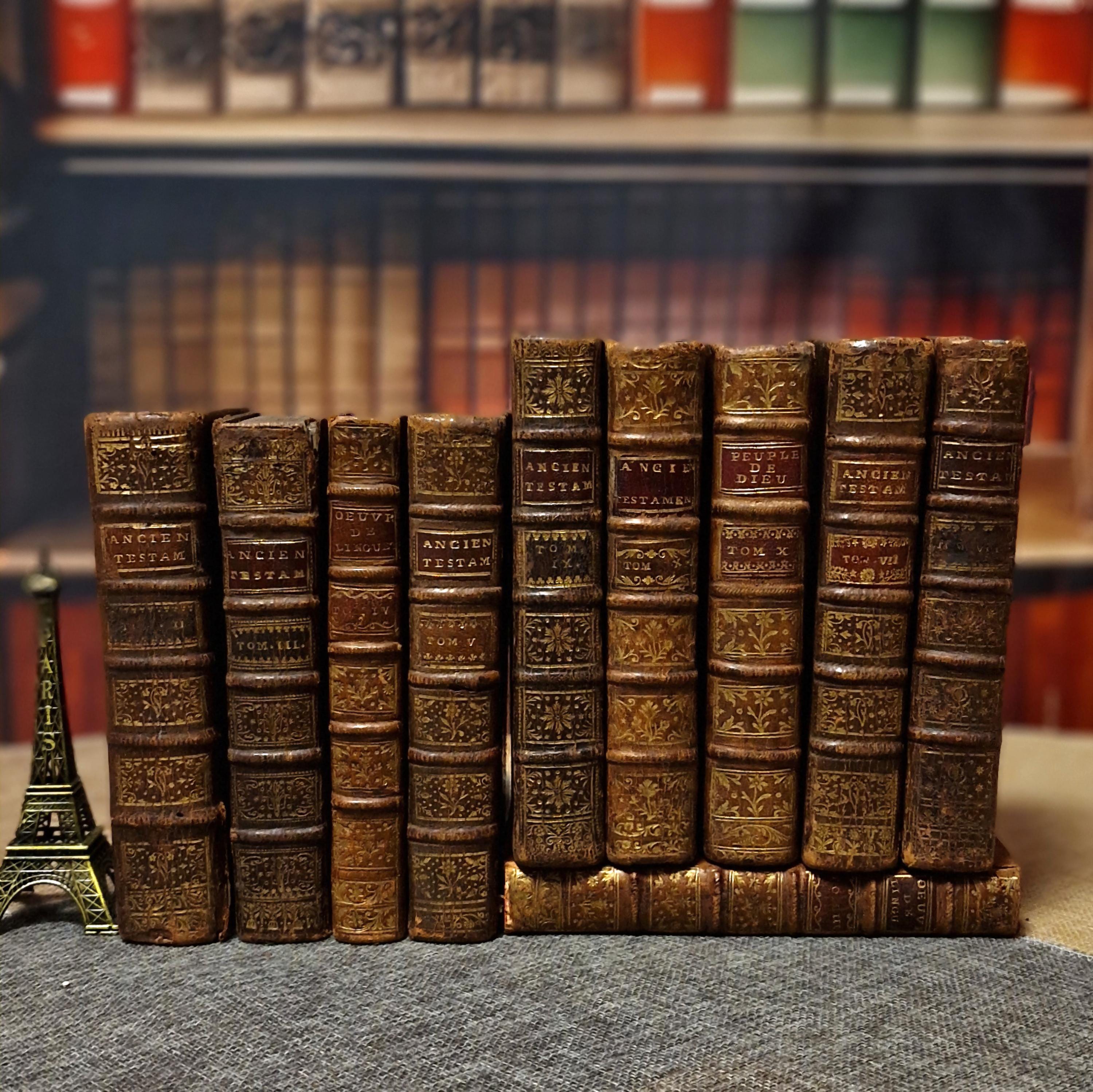 Antique French Leather Books Set of 10, 18th Century Library