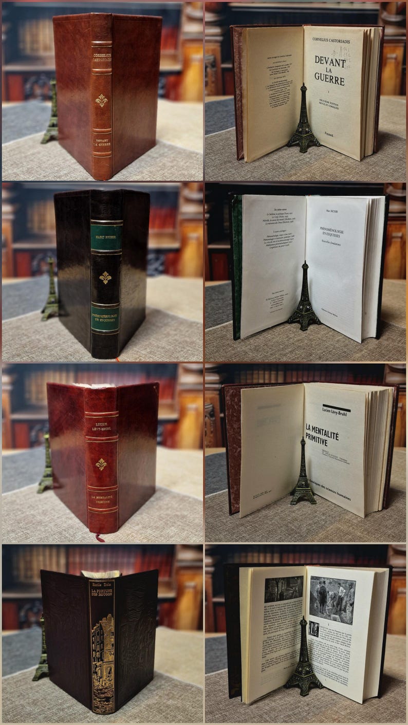 Antique French Leather Bound Books, 17th–20th Century, Dark Academia Bookshelf Decor, Vintage Library Collection for Interior Design image 8