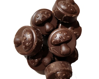 Lions Mane Mushroom Chocolate