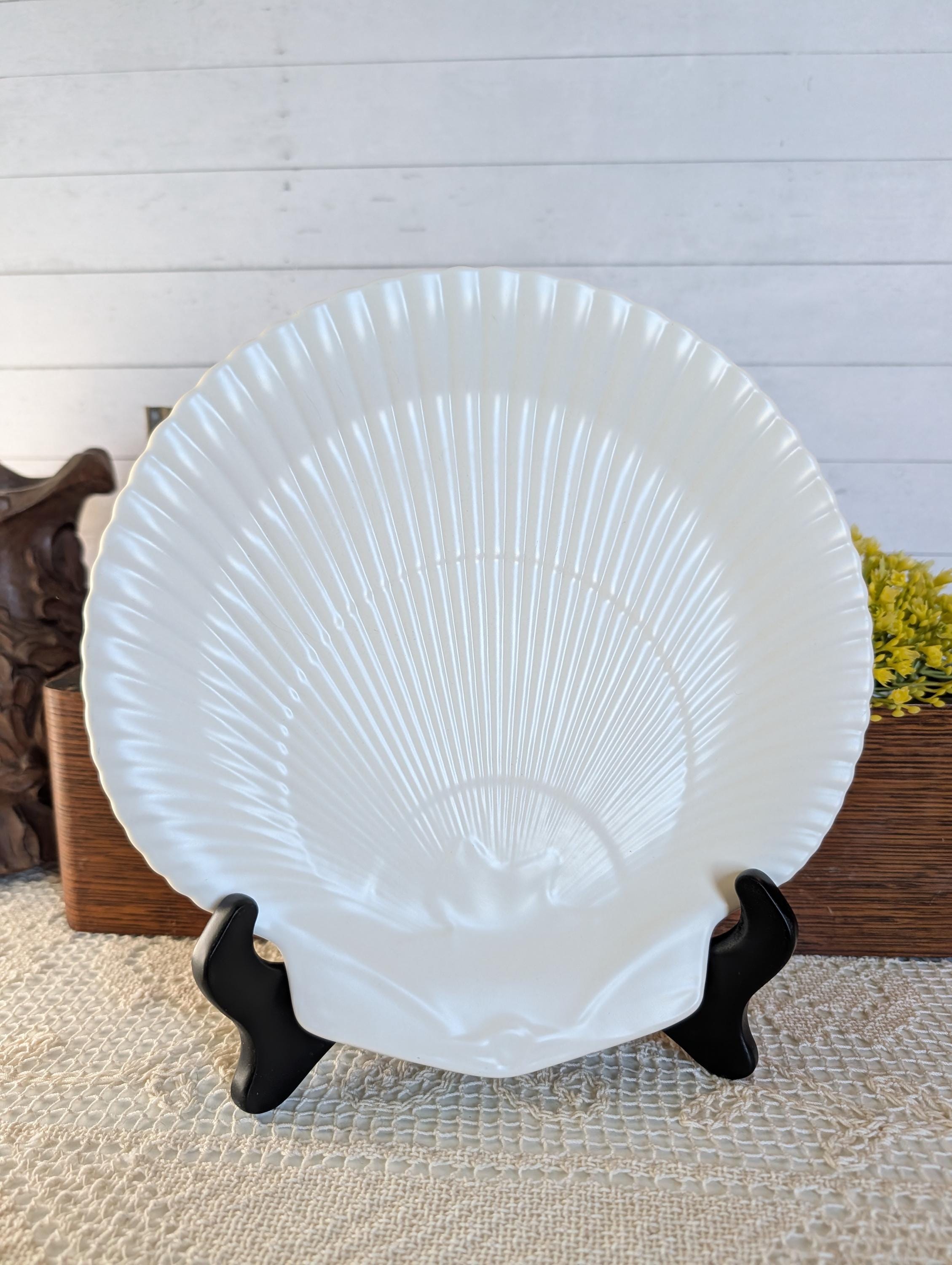 Wedgwood Nautilus Shell - Etsy