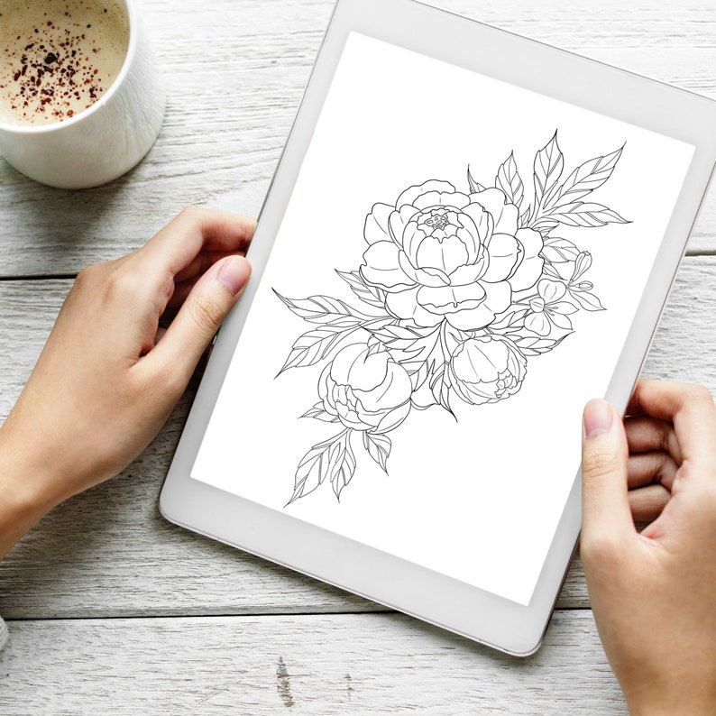 perfect face template for procreate perfect face template for procreate