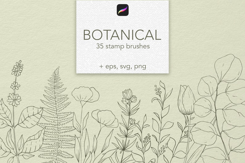 Line logo Botanical svg clipart 35 botanical procreate stamp brush Floral logo stamp Leaves stamp Procreate Flowers procreate brushes