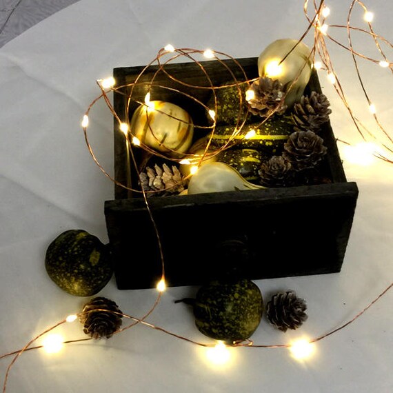16 5 Foot 5m 100 Fairy Lights String On A Copper Image 0