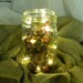 18 Fairy Lights (warm or cool white) 3 ft strand of copper or silver wire. Battery-operated + timer for home decor, party lights. No jar