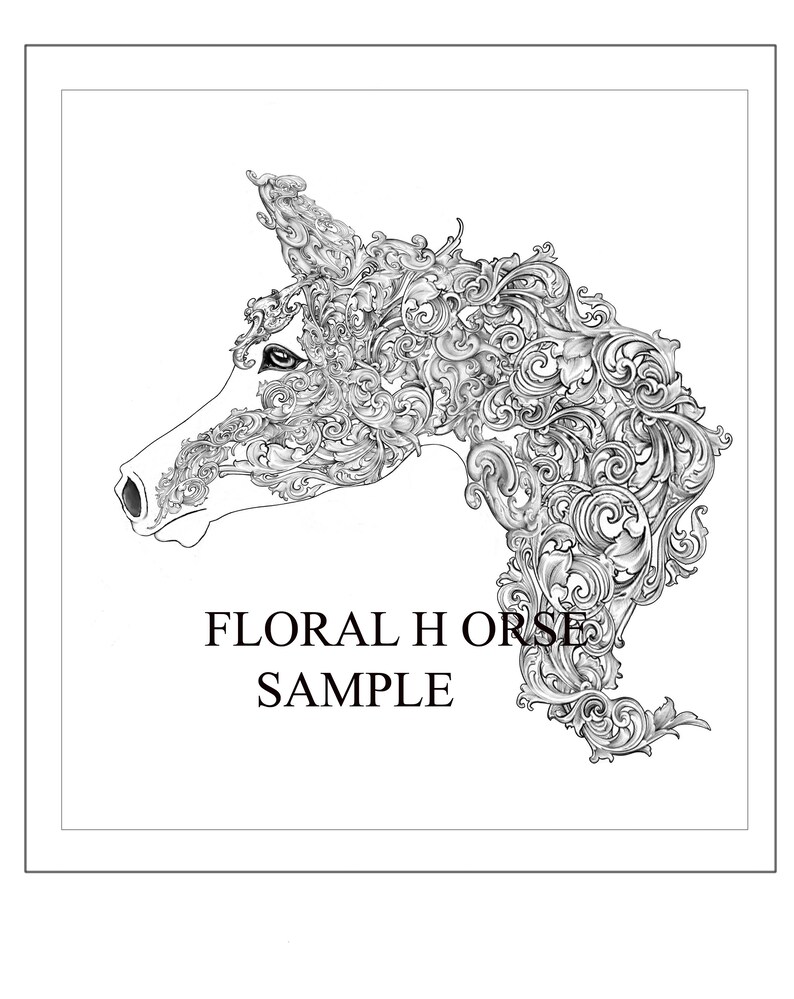 Adult Coloring Page Arabian Horse, Cate Edwards Equine Art image 1