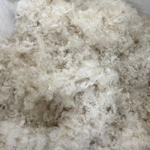 5 oz Washed or Raw wool for birds nesting material cruelty-free