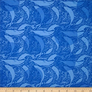 Lizzy House - Natural History Whales by the FQ