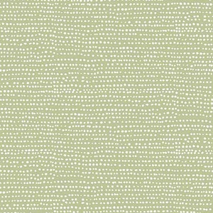 Dear Stella Coordinate Quilting Cotton Fabric - Moonscape - Reed