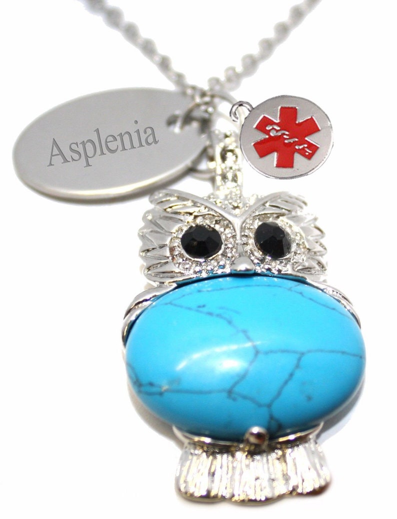 Custom engraved silver plated owl medic medical alert necklace medBR439n