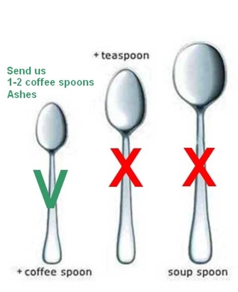 Op de afbeelding: Diagram dat het verschil laat zien tussen een theelepel, een koffielepel en een soeplepel. De tekst "Send us 1-2 coffee spoons Ashes" staat in het groen bovenaan de afbeelding. De koffielepel is gemarkeerd met een groen vinkje, terwijl de theelepel en de soeplepel zijn gemarkeerd met een rood kruis.