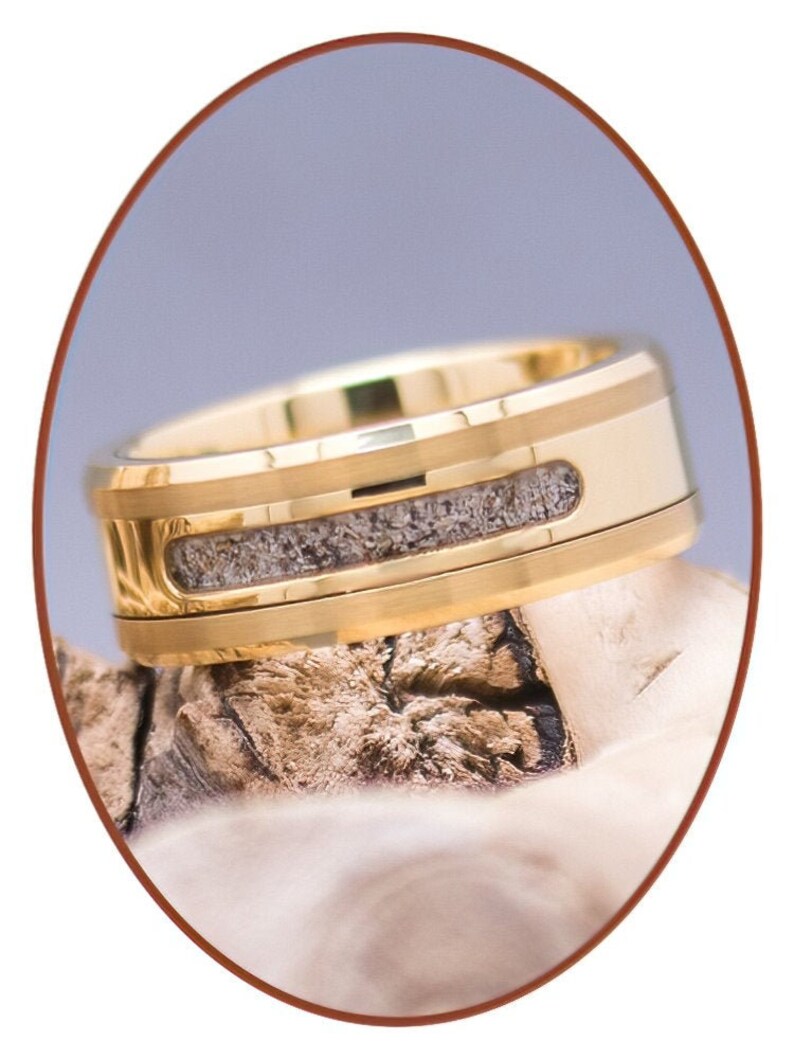 May include: A gold wedding band with a wood inlay. The band is polished and has a beveled edge.