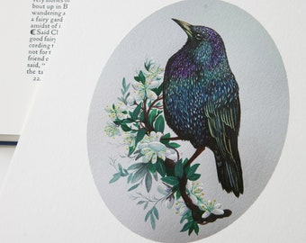 Blossom Starling - Bird Print - Vintage Style - Floral - Garden - Cottagecore - Botanical - Victorian - Fairycore - Whimsigoth
