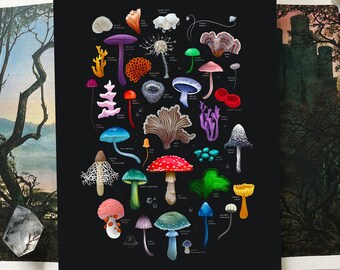 Weird Fungi Art Print - Mushrooms - Fungi - Cottagecore - Nature - Mycelium - Mycophile Gift - Goblincore - Whimsigoth